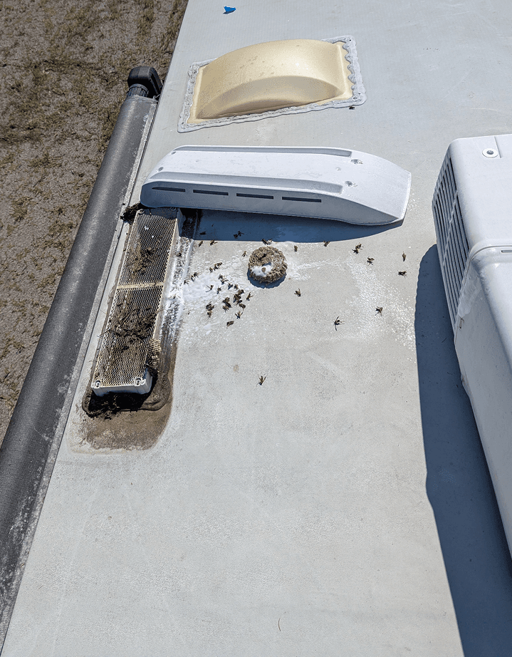 Refrigerator vent with wasp nest